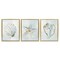 Stupell Industries Muted Sea Life Serenity 3pc Floating Frame Set, design by Hannah Dawson